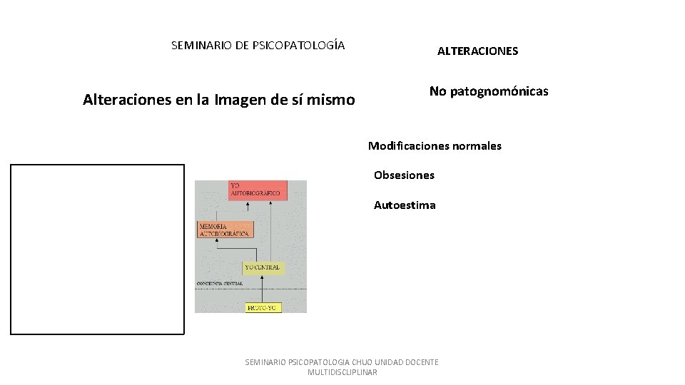 SEMINARIO DE PSICOPATOLOGÍA Alteraciones en la Imagen de sí mismo ALTERACIONES No patognomónicas Modificaciones