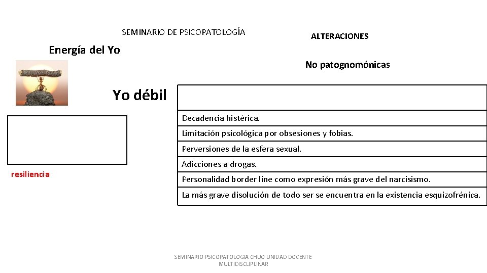 SEMINARIO DE PSICOPATOLOGÍA ALTERACIONES Energía del Yo No patognomónicas Yo débil Resultado de todas