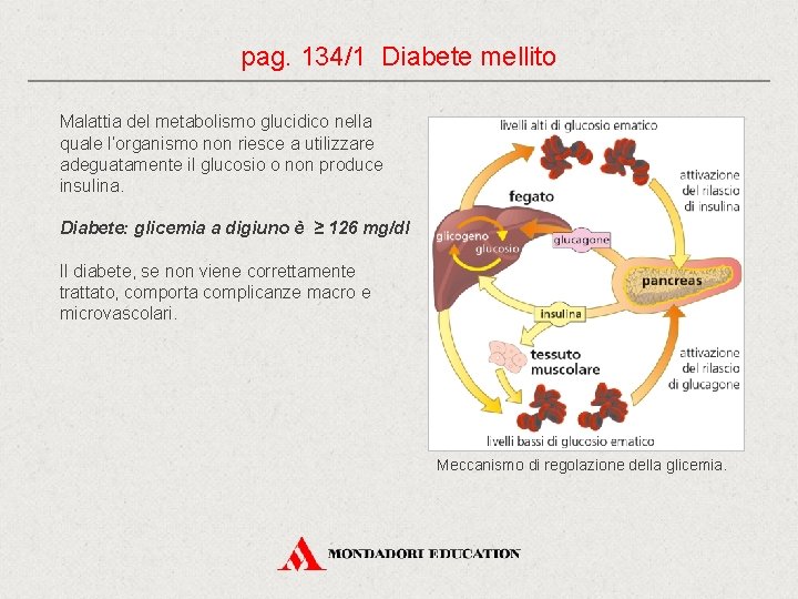 pag. 134/1 Diabete mellito Malattia del metabolismo glucidico nella quale l’organismo non riesce a