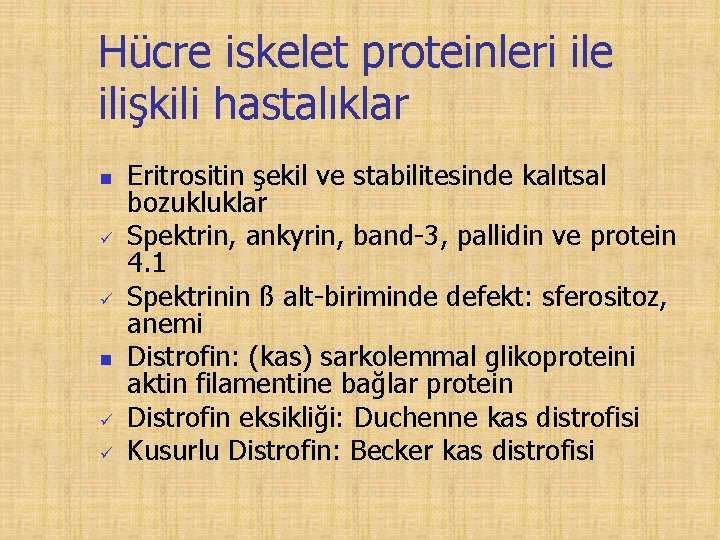 Hücre iskelet proteinleri ile ilişkili hastalıklar n ü ü Eritrositin şekil ve stabilitesinde kalıtsal