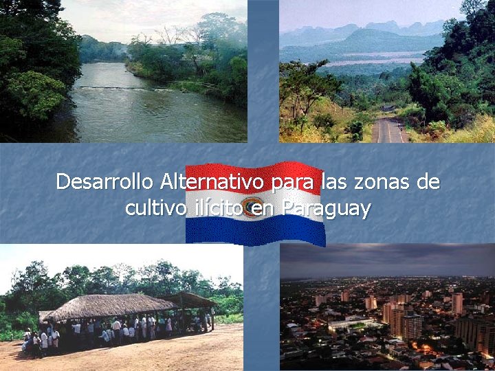 Desarrollo Alternativo para las zonas de cultivo ilícito en Paraguay 