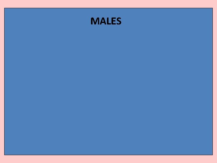 MALES 