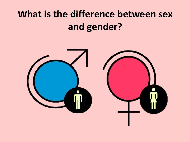 What is the difference between sex and gender? 
