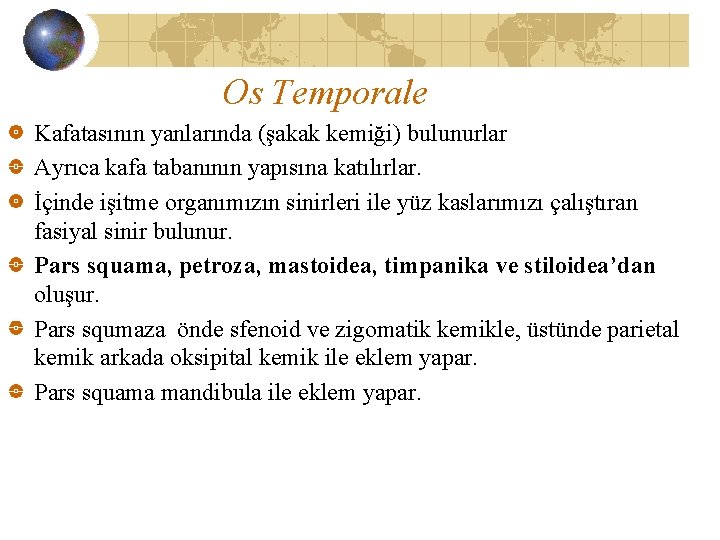 Os Temporale Kafatasının yanlarında (şakak kemiği) bulunurlar Ayrıca kafa tabanının yapısına katılırlar. İçinde işitme