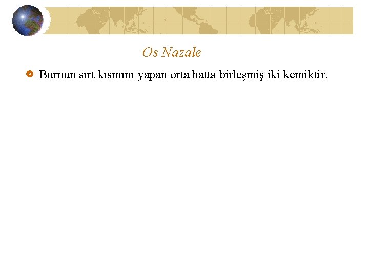 Os Nazale Burnun sırt kısmını yapan orta hatta birleşmiş iki kemiktir. 