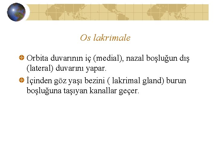 Os lakrimale Orbita duvarının iç (medial), nazal boşluğun dış (lateral) duvarını yapar. İçinden göz