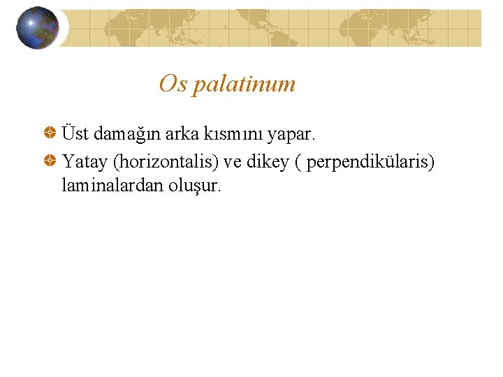 Os palatinum Üst damağın arka kısmını yapar. Yatay (horizontalis) ve dikey ( perpendikülaris) laminalardan