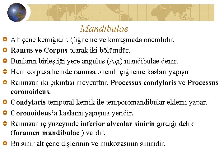 Mandibulae Alt çene kemiğidir. Çiğneme ve konuşmada önemlidir. Ramus ve Corpus olarak iki bölümdür.