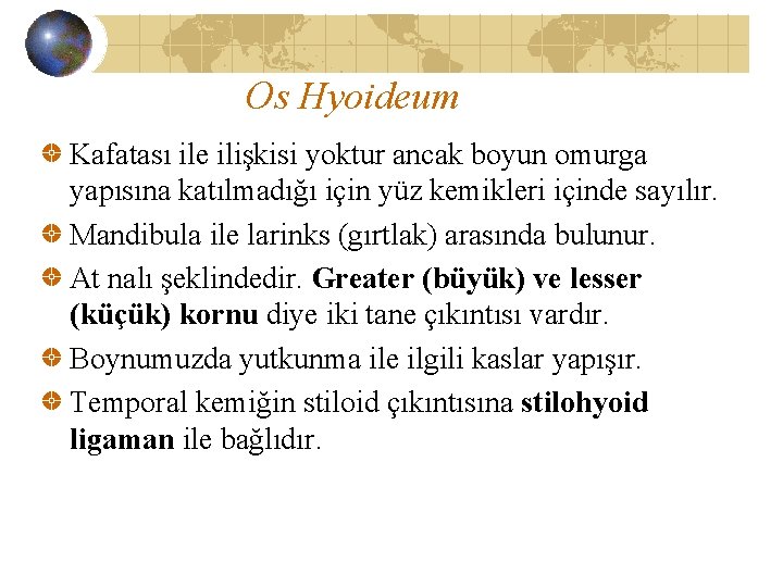 Os Hyoideum Kafatası ile ilişkisi yoktur ancak boyun omurga yapısına katılmadığı için yüz kemikleri