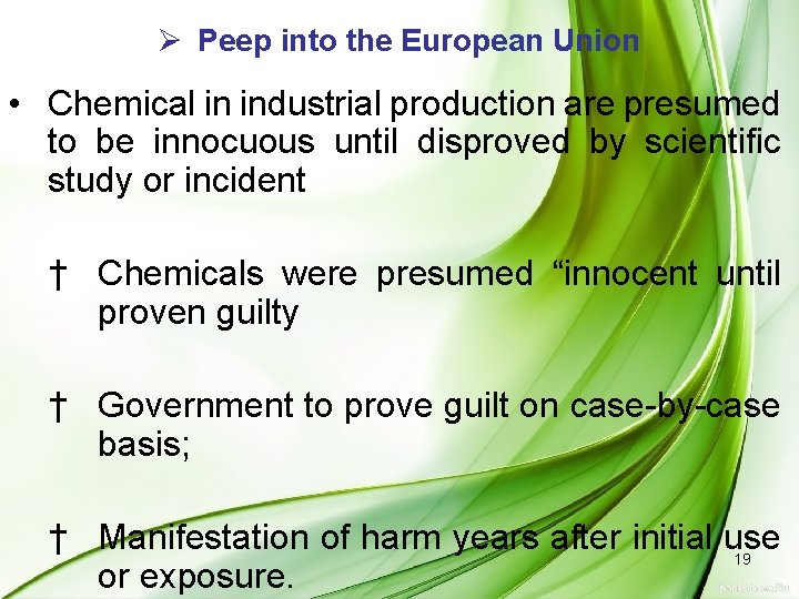 Ø Peep into the European Union • Chemical in industrial production are presumed to