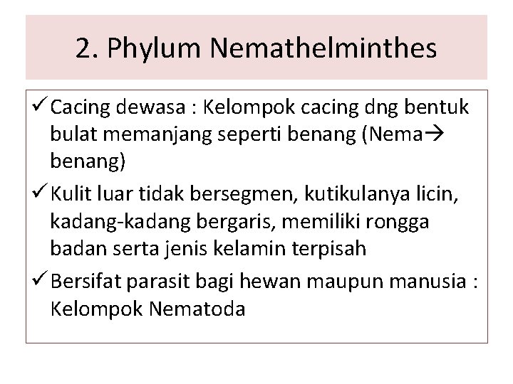 2. Phylum Nemathelminthes ü Cacing dewasa : Kelompok cacing dng bentuk bulat memanjang seperti