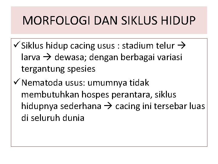 MORFOLOGI DAN SIKLUS HIDUP ü Siklus hidup cacing usus : stadium telur larva dewasa;