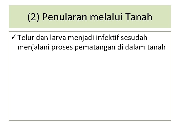 (2) Penularan melalui Tanah ü Telur dan larva menjadi infektif sesudah menjalani proses pematangan