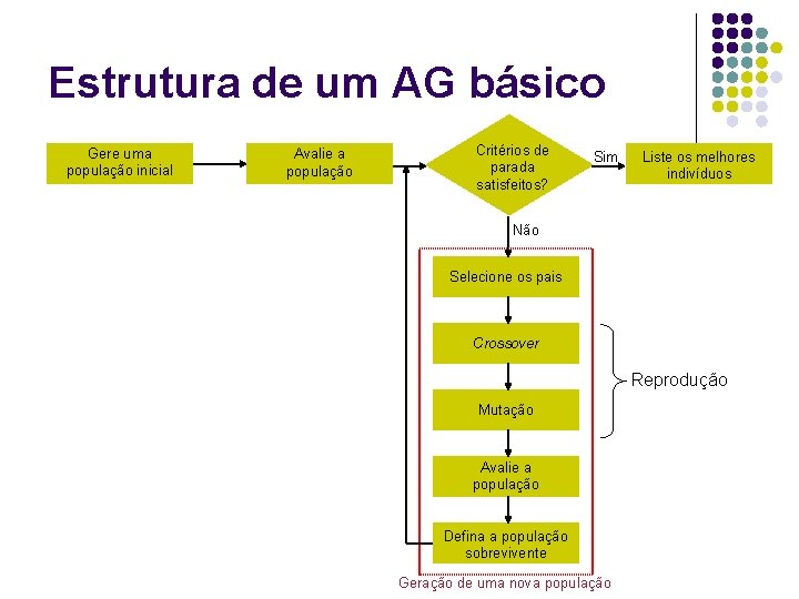 Estrutura de um AG básico Gere uma população inicial Avalie a população Critérios de