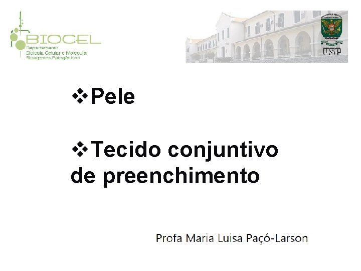 v. Pele v. Tecido conjuntivo de preenchimento 