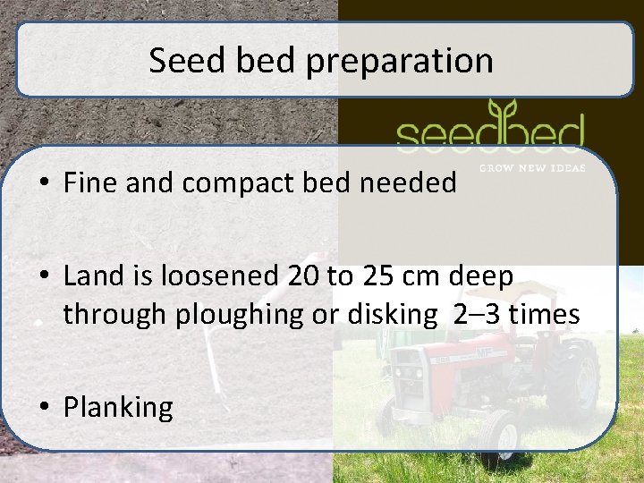 Seed bed preparation • Fine and compact bed needed • Land is loosened 20