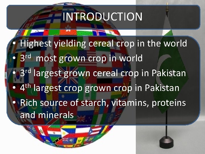 INTRODUCTION • • • Highest yielding cereal crop in the world 3 rd most