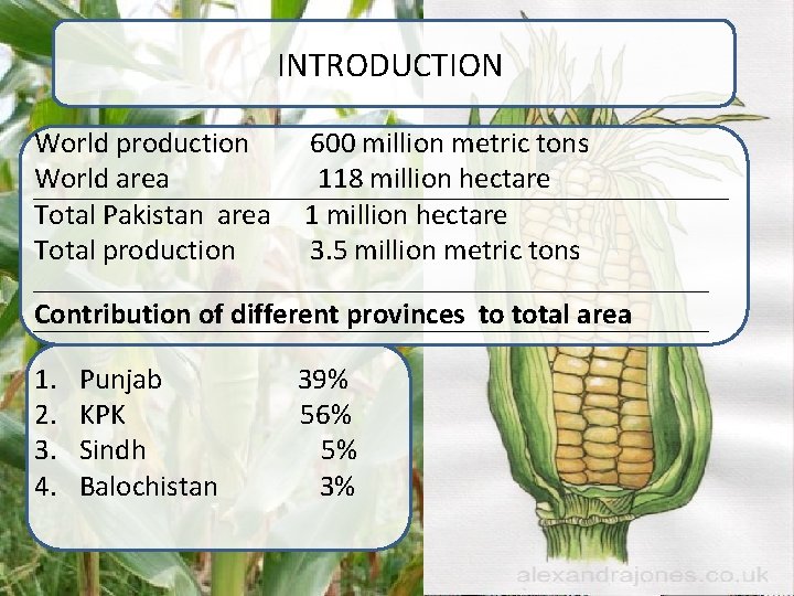 INTRODUCTION World production World area Total Pakistan area Total production 600 million metric tons