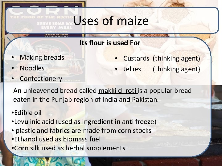 Uses of maize Its flour is used For • Making breads • Noodles •