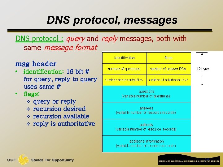 DNS protocol, messages DNS protocol : query and reply messages, both with same message DNS protocol, messages DNS protocol : query and reply messages, both with same message