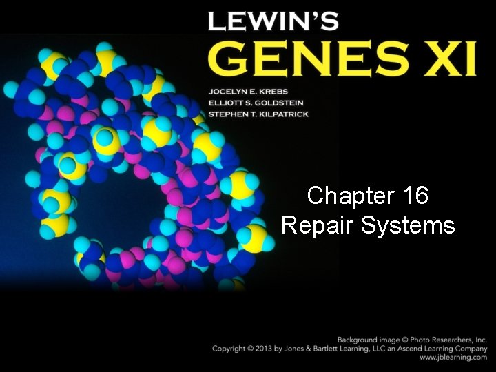 Chapter 16 Repair Systems 