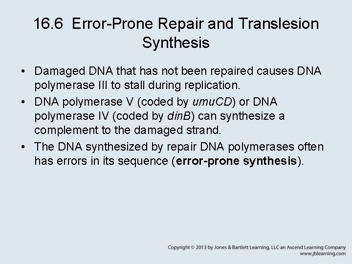 16. 6 Error-Prone Repair and Translesion Synthesis • Damaged DNA that has not been