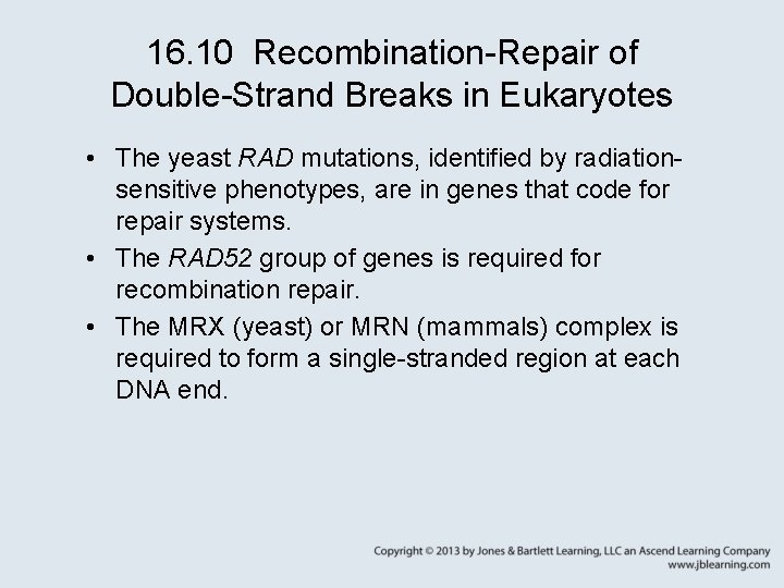 16. 10 Recombination-Repair of Double-Strand Breaks in Eukaryotes • The yeast RAD mutations, identified