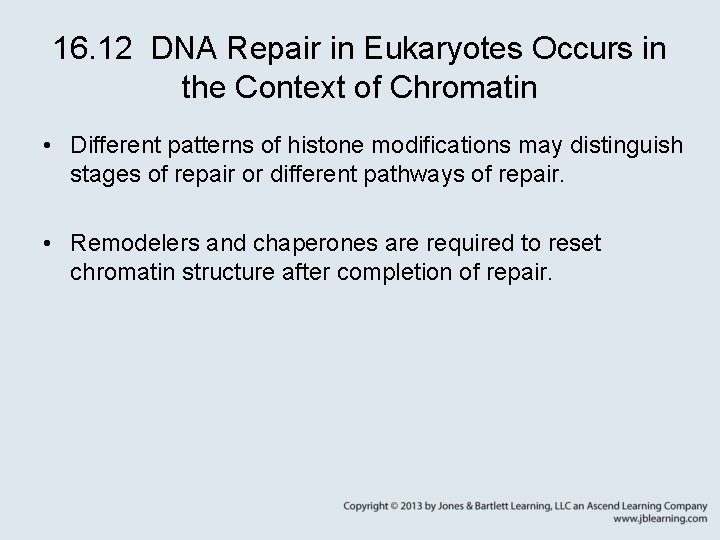 16. 12 DNA Repair in Eukaryotes Occurs in the Context of Chromatin • Different