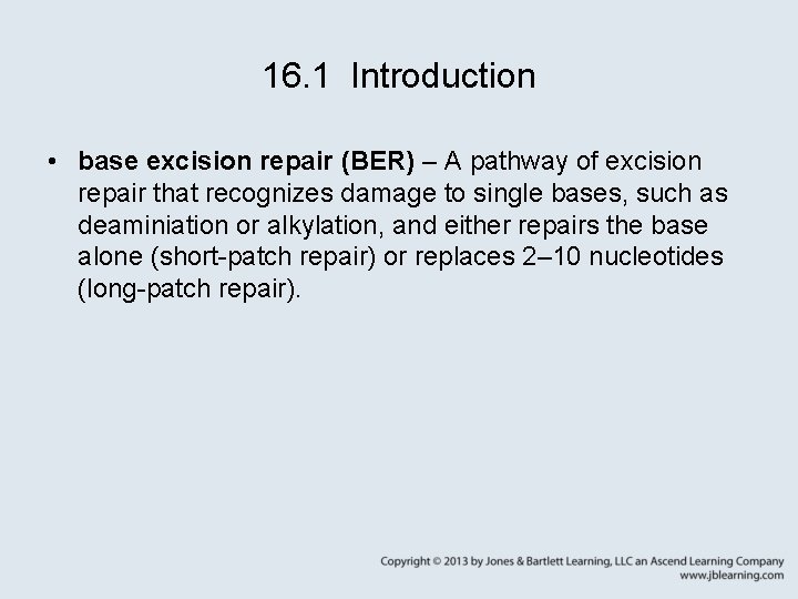 16. 1 Introduction • base excision repair (BER) – A pathway of excision repair