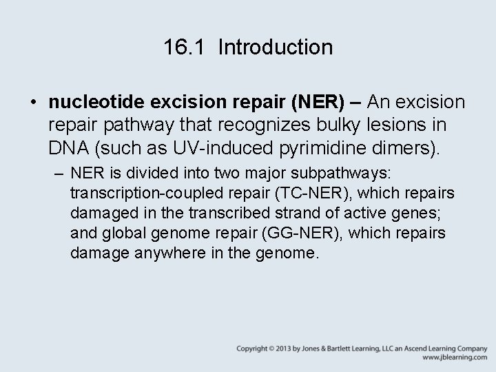 16. 1 Introduction • nucleotide excision repair (NER) – An excision repair pathway that