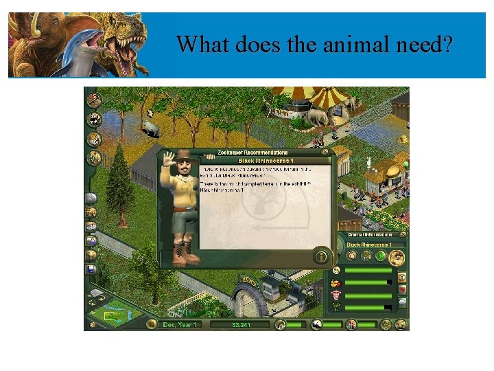 What does the animal need? 