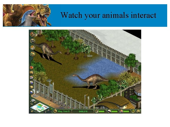 Watch your animals interact 