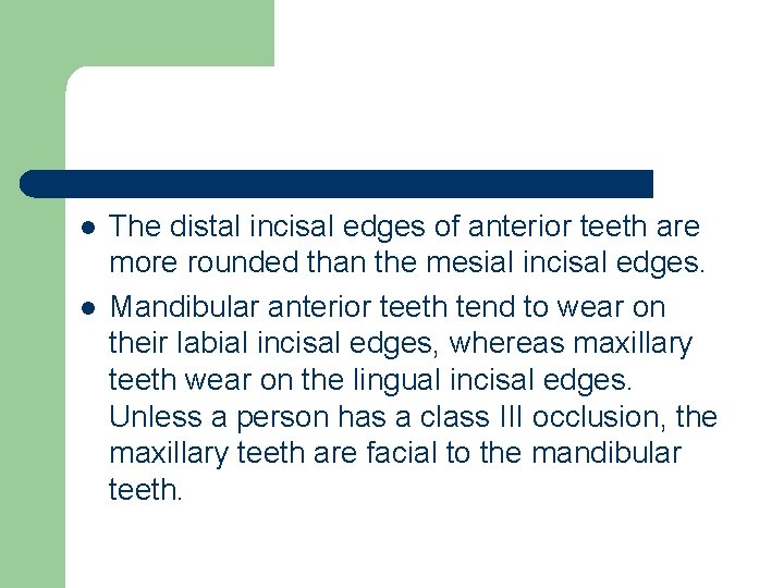 l l The distal incisal edges of anterior teeth are more rounded than the