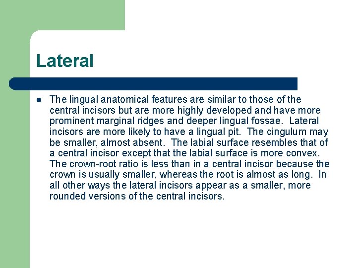 Lateral l The lingual anatomical features are similar to those of the central incisors