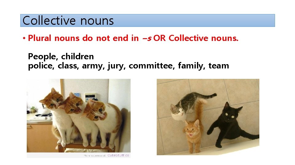 Collective nouns • Plural nouns do not end in –s OR Collective nouns. People,