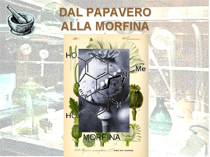 DAL PAPAVERO ALLA MORFINA 