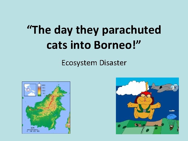 “The day they parachuted cats into Borneo!” Ecosystem Disaster 