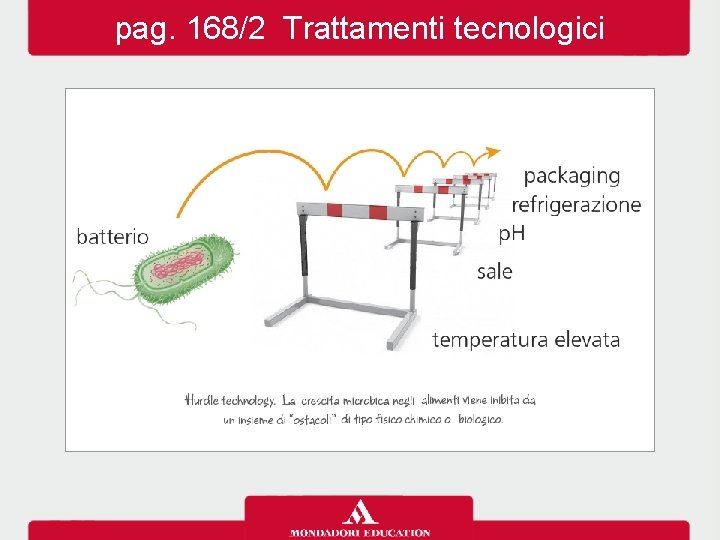 pag. 168/2 Trattamenti tecnologici 