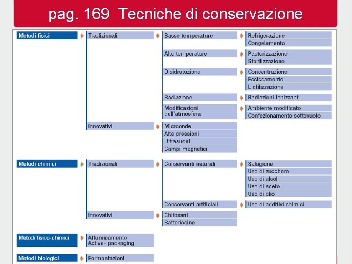 pag. 169 Tecniche di conservazione 