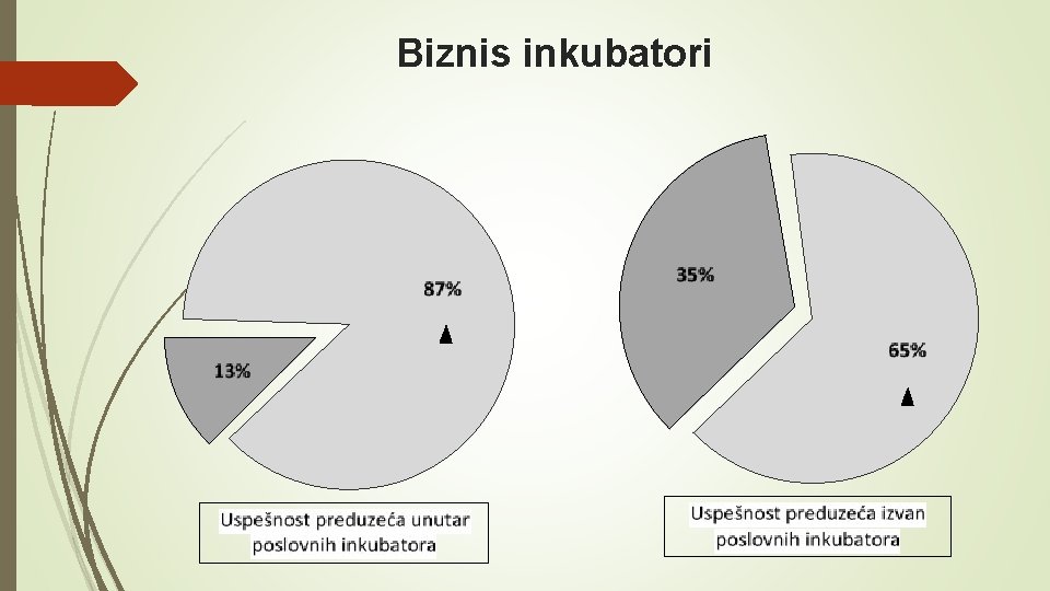 Biznis inkubatori 