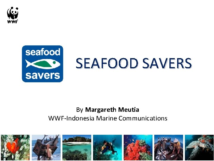SEAFOOD SAVERS By Margareth Meutia WWF-Indonesia Marine Communications 