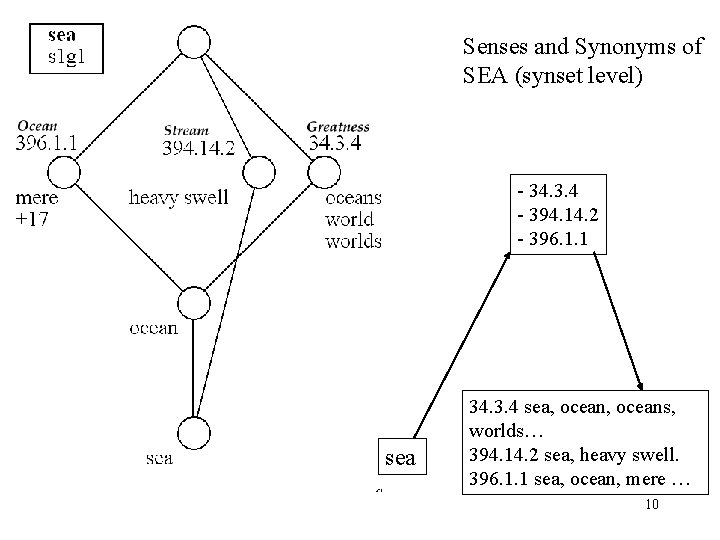 Senses and Synonyms of SEA (synset level) - 34. 3. 4 - 394. 14.