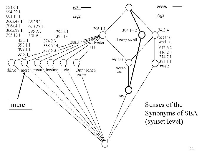 mere Senses of the Synonyms of SEA (synset level) 11 