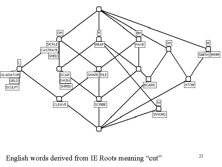 English words derived from IE Roots meaning “cut” 23 