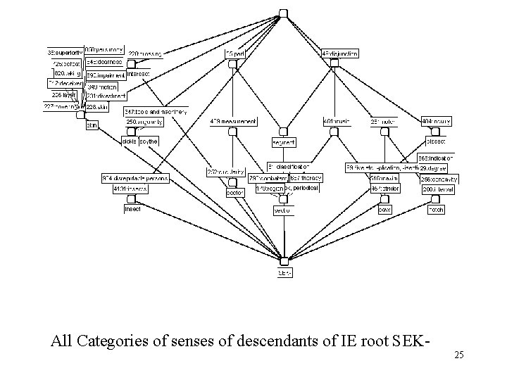 All Categories of senses of descendants of IE root SEK- 25 
