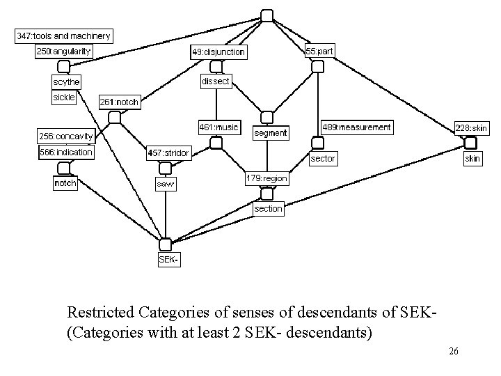 Restricted Categories of senses of descendants of SEK- (Categories with at least 2 SEK-