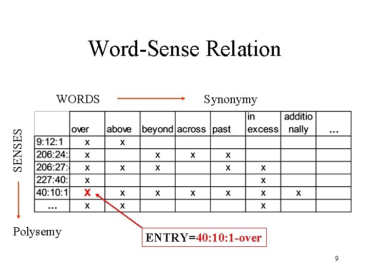 Word-Sense Relation Synonymy SENSES WORDS Polysemy ENTRY=40: 1 -over 9 