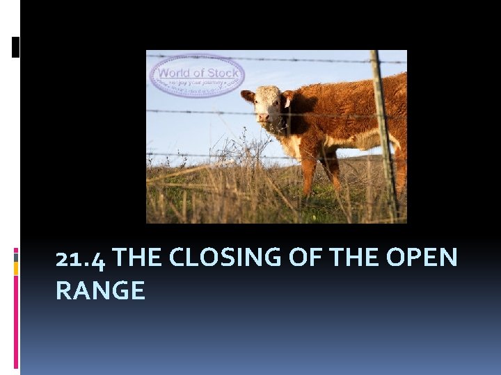 21 4 THE CLOSING OF THE OPEN RANGE