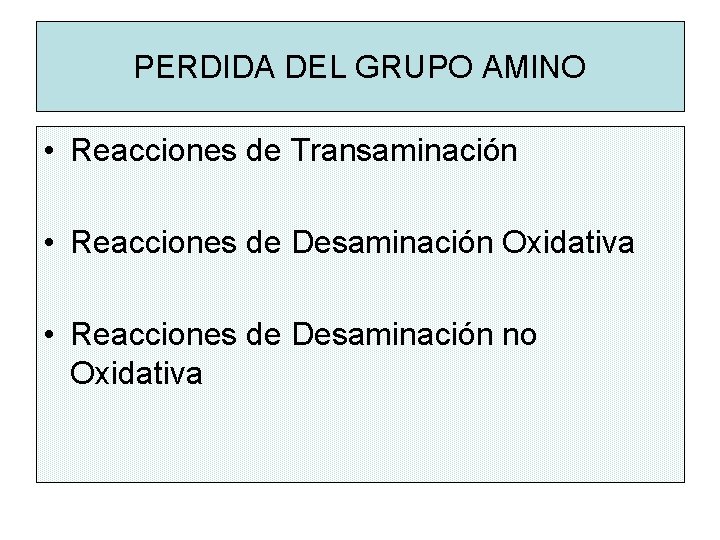 PERDIDA DEL GRUPO AMINO • Reacciones de Transaminación • Reacciones de Desaminación Oxidativa •