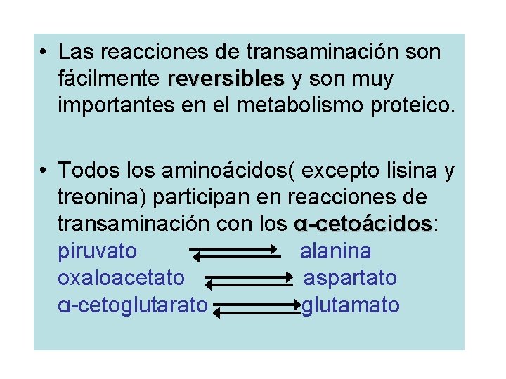  • Las reacciones de transaminación son fácilmente reversibles y son muy reversibles importantes